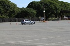 IMG 6409 (Large)