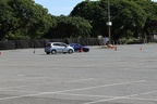 IMG 6406 (Large)