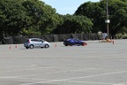 IMG 6402 (Large)