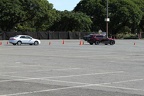 IMG 6376 (Large)