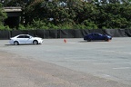 IMG 6379 (Large)