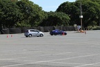IMG 6403 (Large)