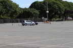 IMG 6408 (Large)