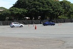 IMG 6318 (Large)