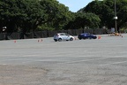 IMG 6331 (Large)