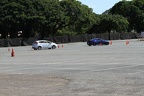 IMG 6325 (Large)