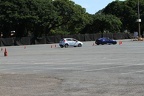 IMG 6330 (Large)
