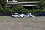 IMG 6465 (Large)