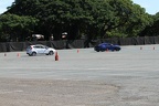 IMG 6320 (Large)