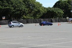 IMG 6399 (Large)