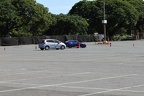 IMG 6405 (Large)