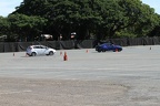 IMG 6319 (Large)