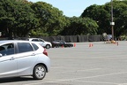 IMG 6420 (Large)