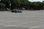 IMG 6447 (Large)