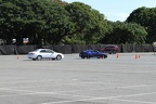 IMG 6451 (Large)