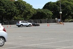 IMG 6422 (Large)