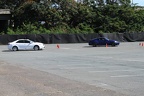 IMG 6380 (Large)