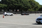 IMG 6417 (Large)