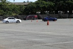 IMG 6385 (Large)