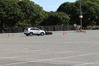 IMG 6423 (Large)
