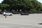 IMG 6416 (Large)