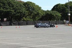 IMG 6445 (Large)