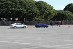 IMG 6450 (Large)