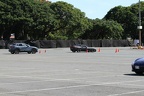 IMG 6352 (Large)