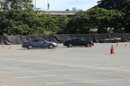 IMG 6431 (Large)