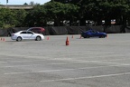 IMG 6387 (Large)