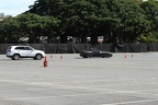 IMG 6414 (Large)