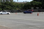 IMG 6384 (Large)