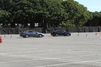 IMG 6439 (Large)