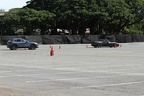 IMG 6348 (Large)