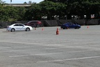 IMG 6386 (Large)