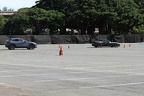 IMG 6347 (Large)