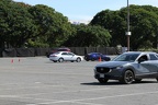 IMG 6455 (Large)