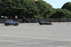 IMG 6351 (Large)