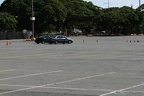 IMG 6446 (Large)