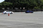 IMG 6389 (Large)