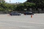 IMG 6433 (Large)