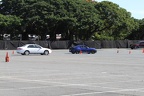 IMG 6448 (Large)
