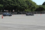 IMG 6350 (Large)