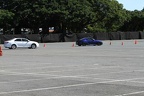 IMG 6391 (Large)