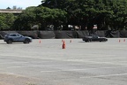 IMG 6346 (Large)