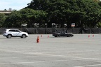 IMG 6413 (Large)