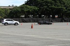 IMG 6412 (Large)