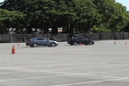 IMG 6438 (Large)