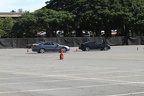 IMG 6435 (Large)