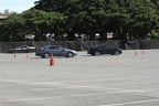 IMG 6436 (Large)
